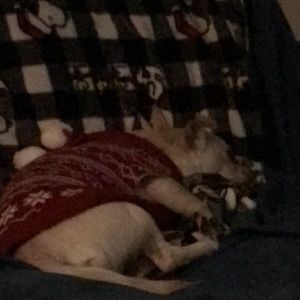 Meet your Posher, Rob